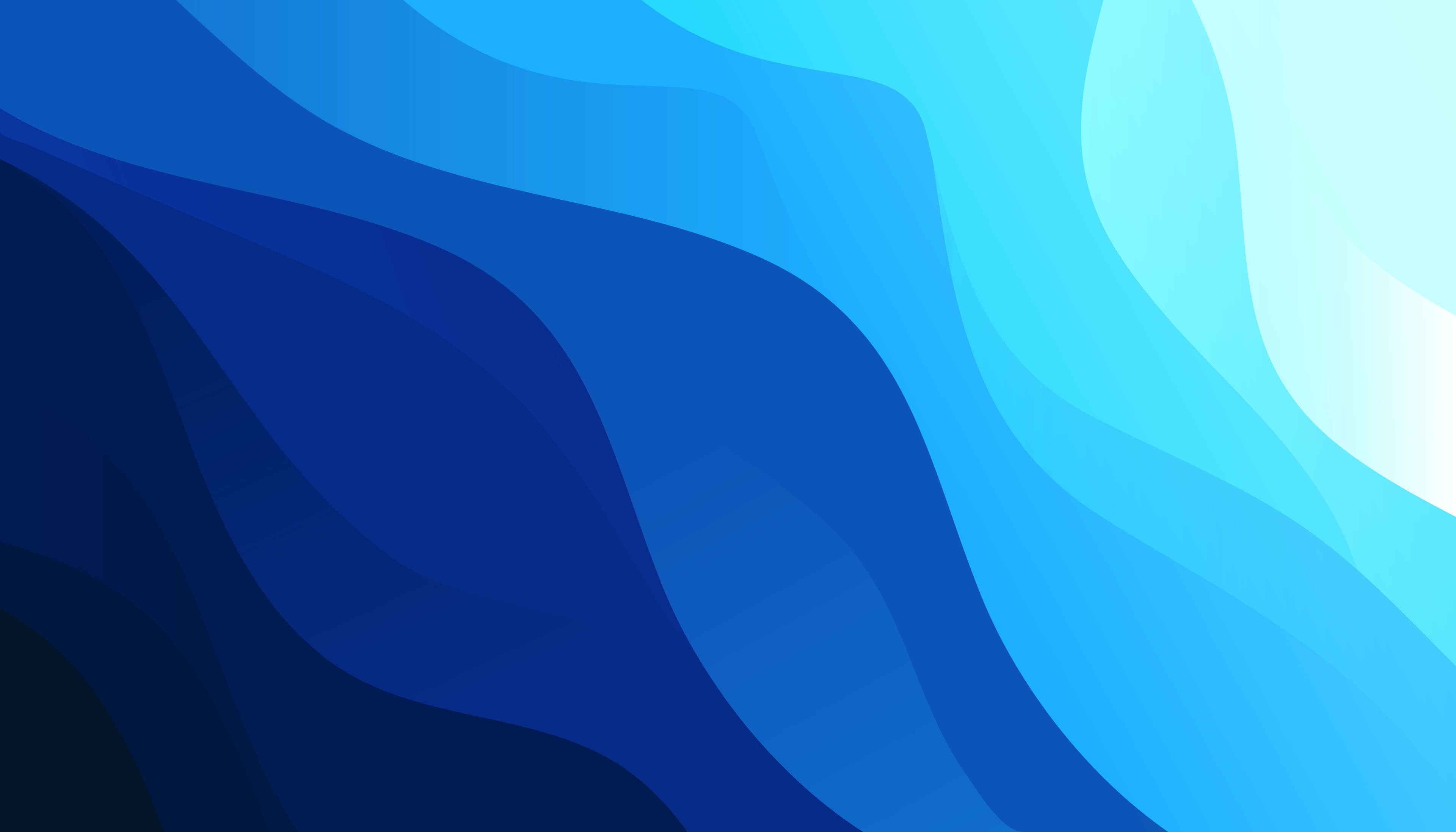 banner image